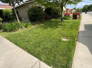 Kellie A.'s grass maintenance service result