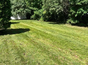 Janet B.'s lawn maintenance service result