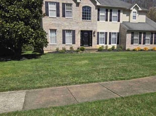 Chad M.'s grass cutting service result
