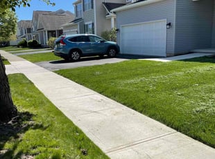 Brittany B.'s lawn care service result