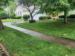 Karl J.'s lawn care services service result