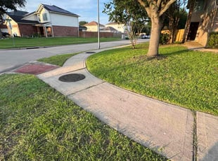 Rima K.'s lawn care service result