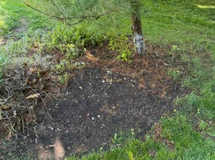 Daniel C.'s Leaf Removal service result