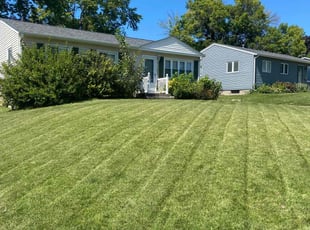 Shirley J.'s lawn care service result