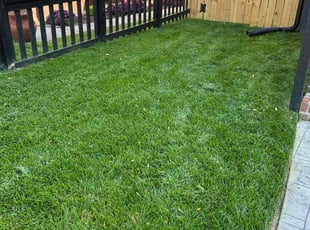 khev a.'s lawn service service result