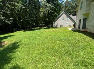 Ammy S.'s turf maintenance service result