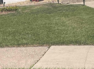 Kelly L.'s lawn service service result