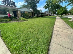 Tara A.'s grass cutting service result
