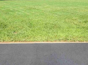 Roxanne C.'s grass maintenance service result