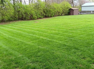 Ben K.'s lawn care services service result