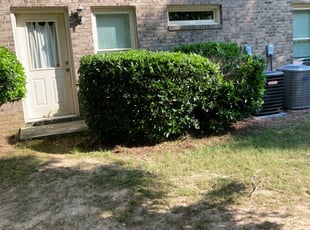 Thomas D.'s Bush Trimming service result
