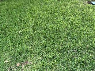 Christina M.'s lawn maintenance service result