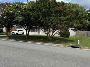 Benjamin H.'s grass maintenance service result