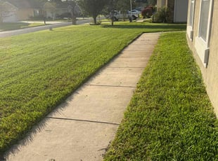 Danielle M.'s turf care service result