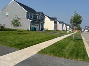 Gregory A.'s lawn service service result