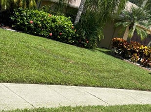 James D.'s lawn care service result