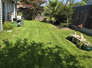 Antis G.'s turf care service result