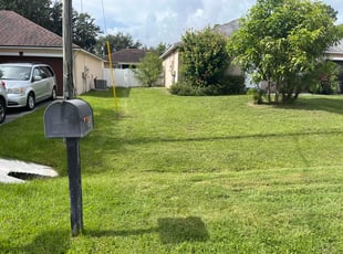 Deb K.'s lawn care service result