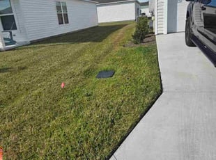 Vernita H.'s lawn maintenance service result