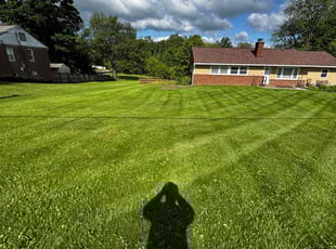 Don S.'s lawn care service result