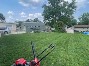 Calya S.'s grass cutting service result