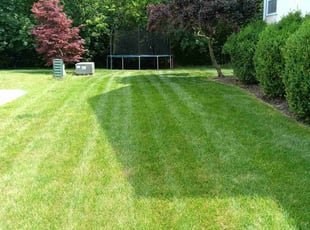 Pete B.'s grass maintenance service result