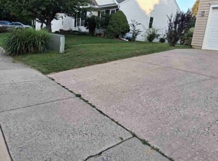 Angela G.'s Long Grass Cleanup service result