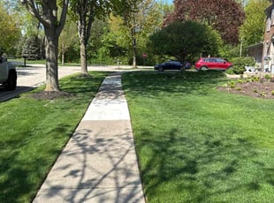 Travis P.'s lawn care services service result