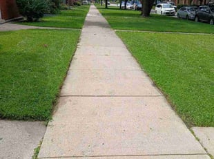 Al A.'s lawn service service result