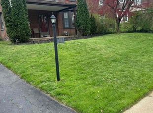 Donna N.'s grass cutting service result