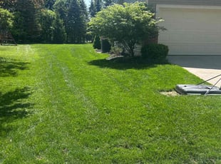 Stacy B.'s lawn service service result