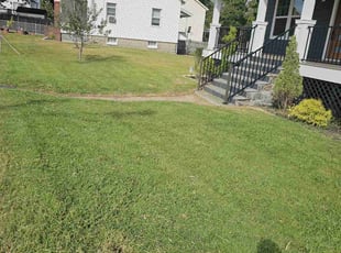 Isabel A.'s lawn maintenance service result