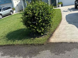 Julia S.'s grass maintenance service result