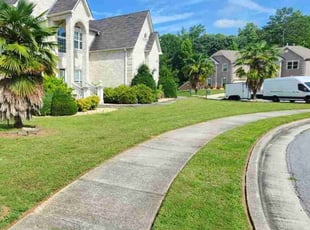 Mike G.'s lawn care service result