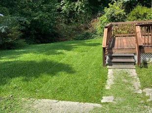 Cotina W.'s lawn service service result