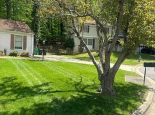 Frances A.'s lawn care services service result