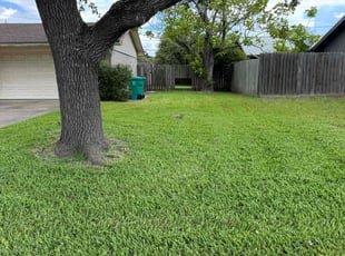 Wayne S.'s grass maintenance service result