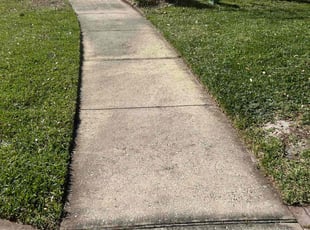 Genee S.'s turf care service result
