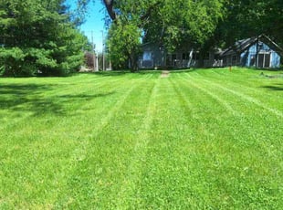 Mark P.'s turf maintenance service result