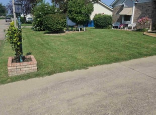 Lois C.'s grass cutting service result