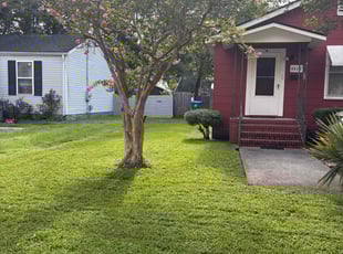 Drew S.'s lawn care service result