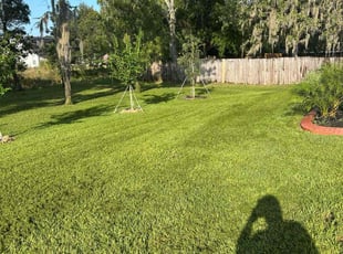 Lillian L.'s turf maintenance service result