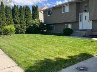 Josefine D.'s turf care service result