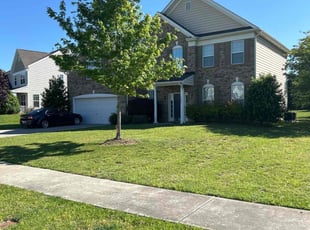 Paul R.'s turf maintenance service result