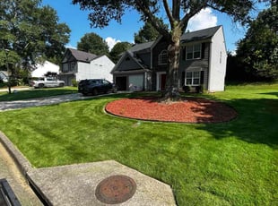 John F.'s turf care service result