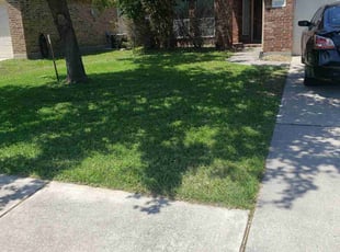Patrick E.'s lawn maintenance service result