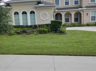 Krishna G.'s Bush Trimming service result