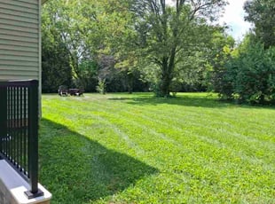 Alexander J.'s lawn care service result