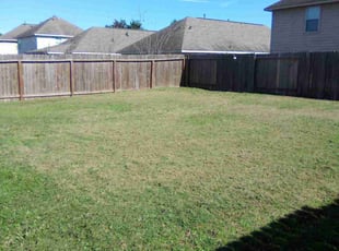Dennis M.'s lawn maintenance service result