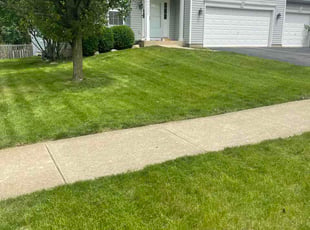 Bryce M.'s Long Grass Cleanup service result